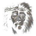 Randomness 899 - Jesus Lion Halftone