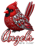 Christian 65 - Cardinal Angels Are Near (1)