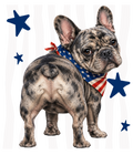 Randomness 673 - Frenchie Back Usa