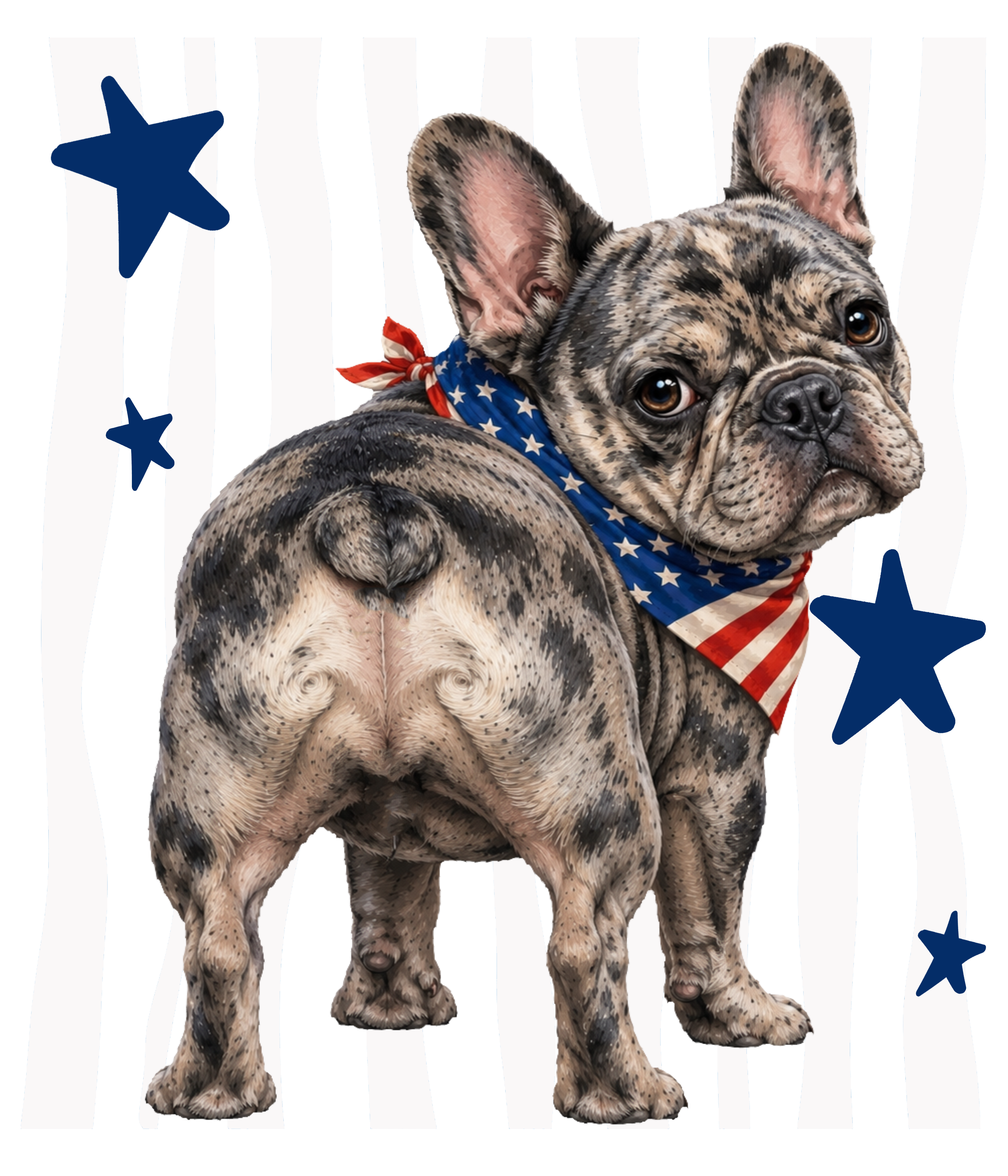 Randomness 673 - Frenchie Back Usa