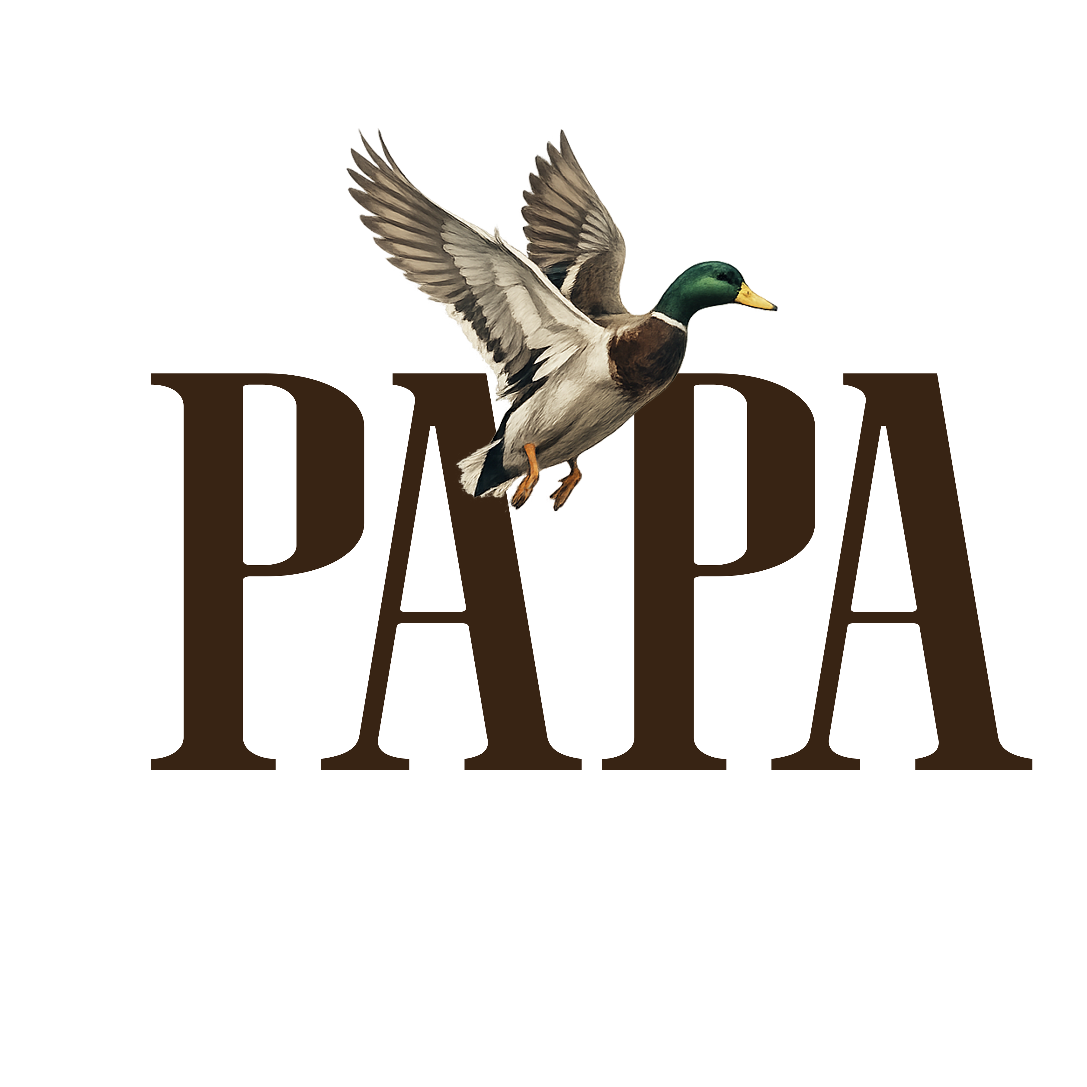 Randomness 1260 - Papa Duck Front