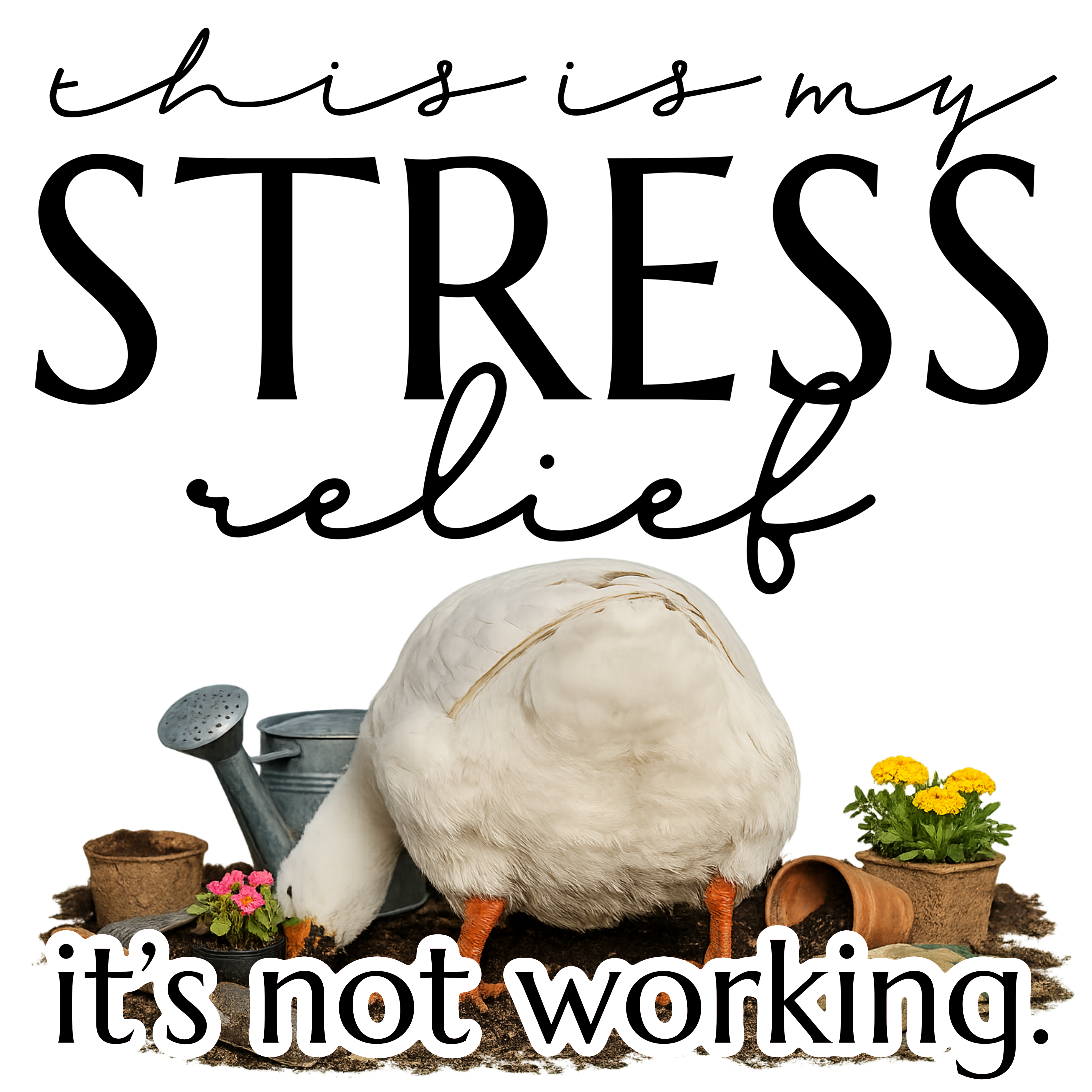 Randomness 1585 - Stressreliefgoose