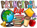 Teacher 566 - Principallife