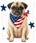 Randomness 1391 - Pug Usa Front