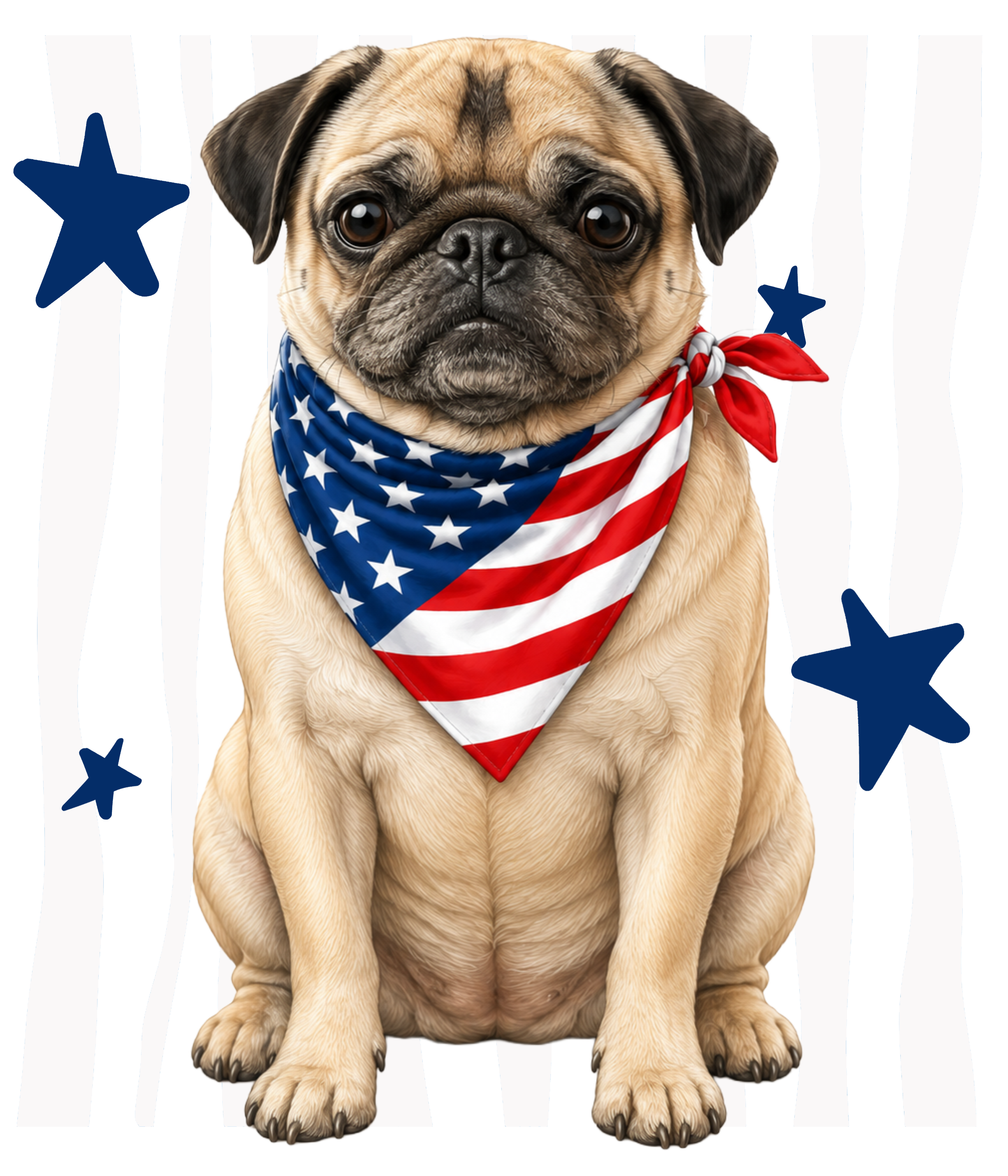 Randomness 1391 - Pug Usa Front
