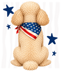 Randomness 1330 - Poodle Butt Usa