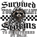 Randomness 1595 - Survived Storms Raccoon