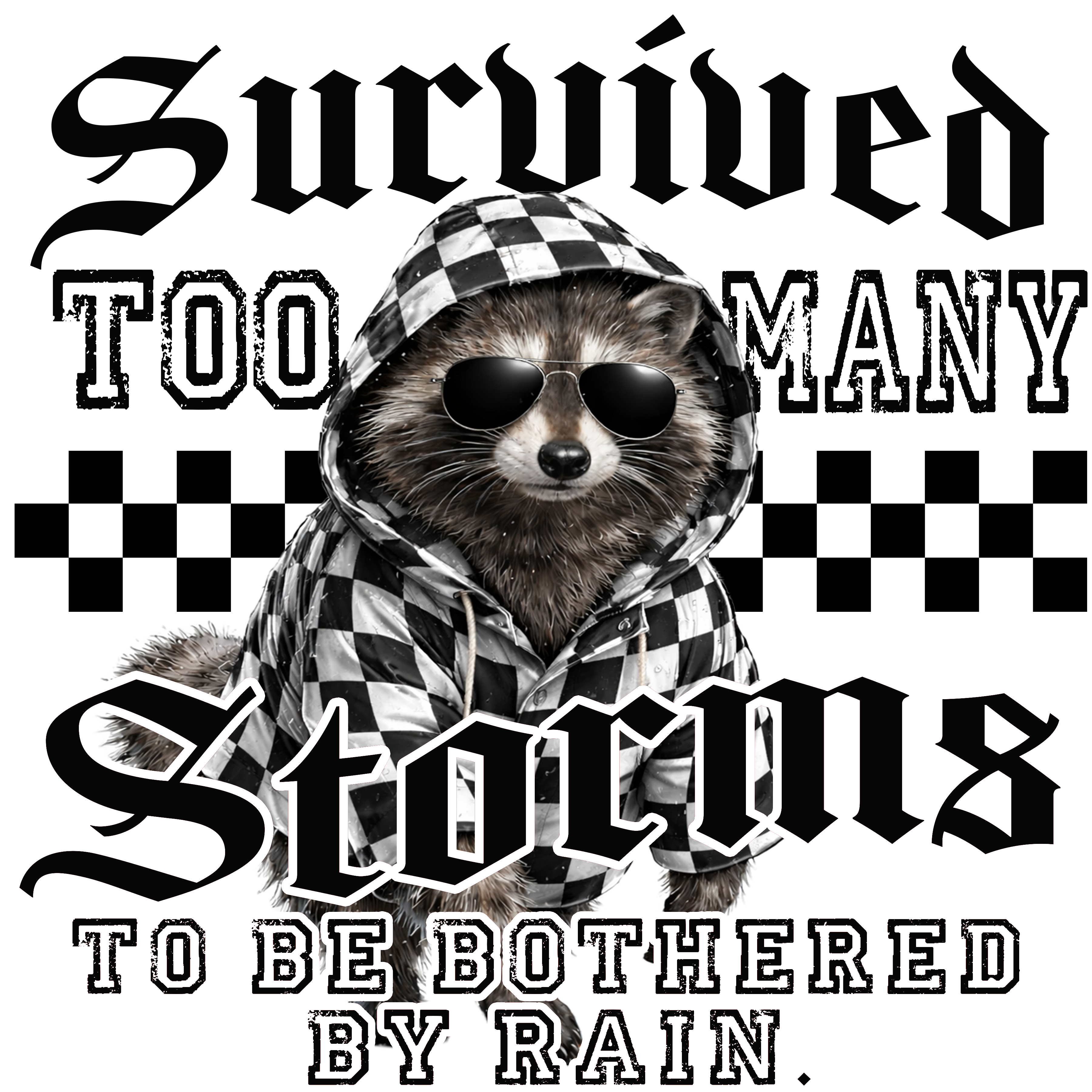Randomness 1595 - Survived Storms Raccoon
