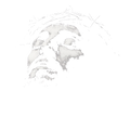 Randomness 909 - Jesusface