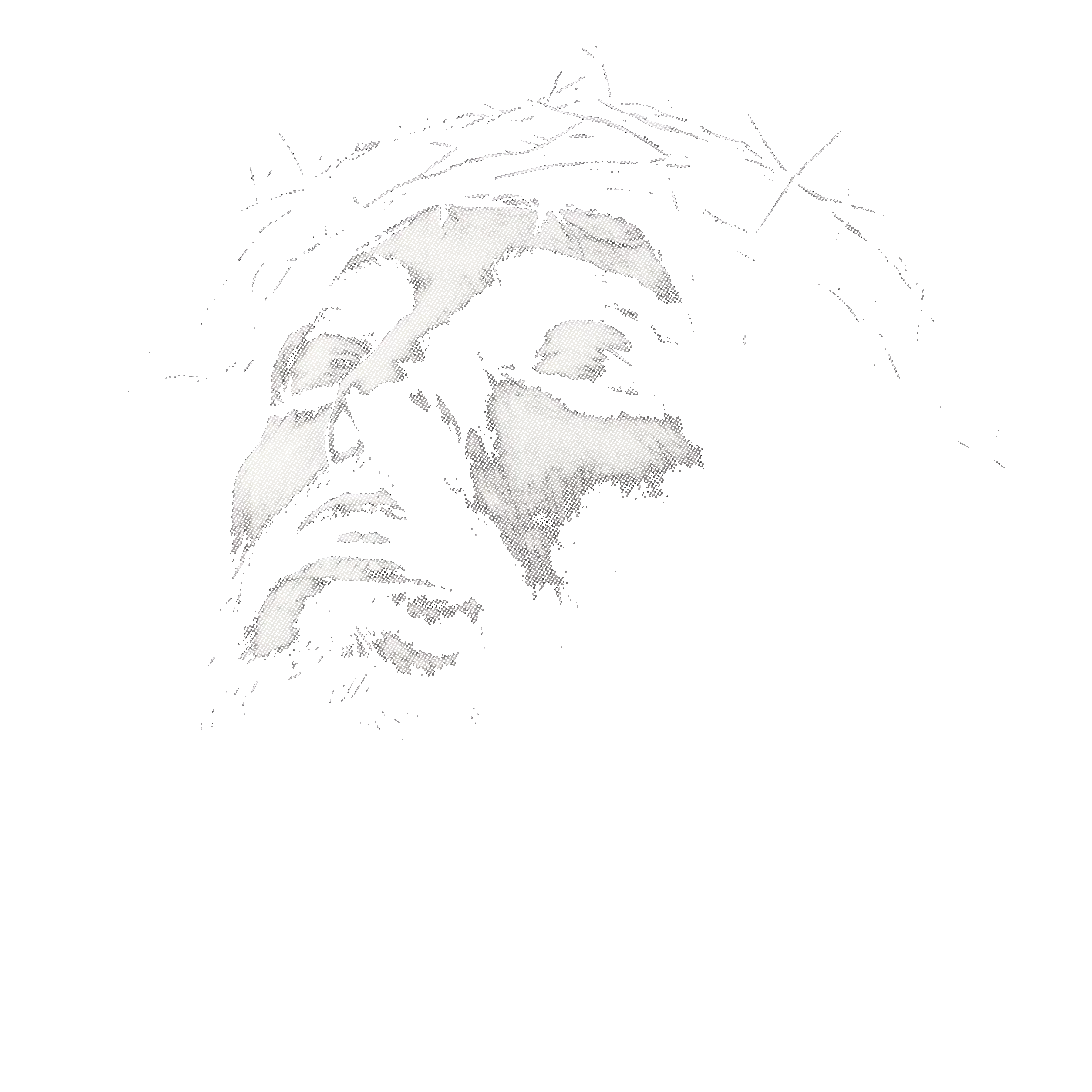 Randomness 909 - Jesusface