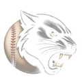 Randomness 131 - Baseball Halftone Panther