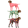 Randomness 1441 - Retro Gsp