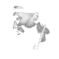 Randomness 1720 - Tupac Profile Halftone
