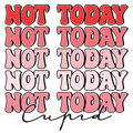Valentine's Day 101 - Not Today Cupid