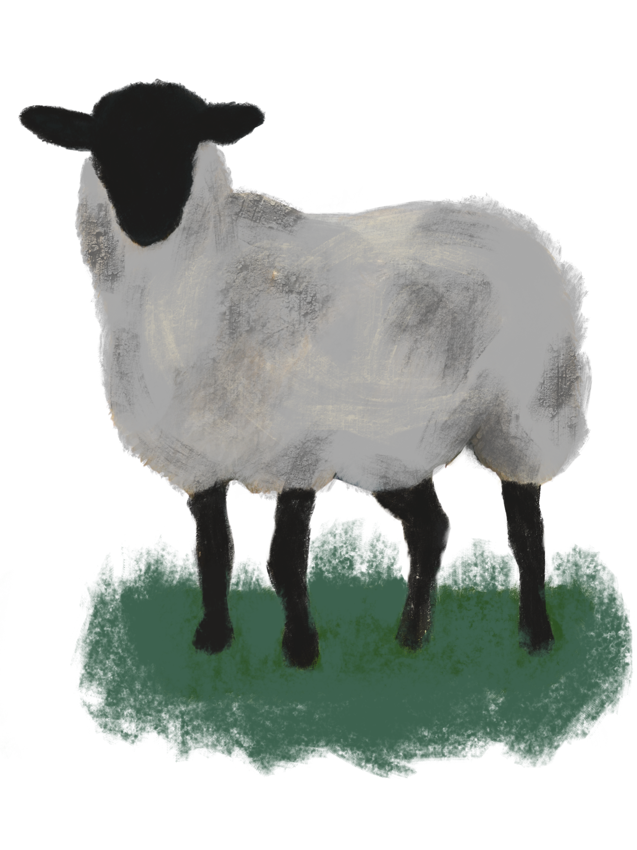 Christian 442 - Lamb