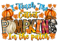 Teacher 381 - Iteachthecutestpumpkinsinthepatch