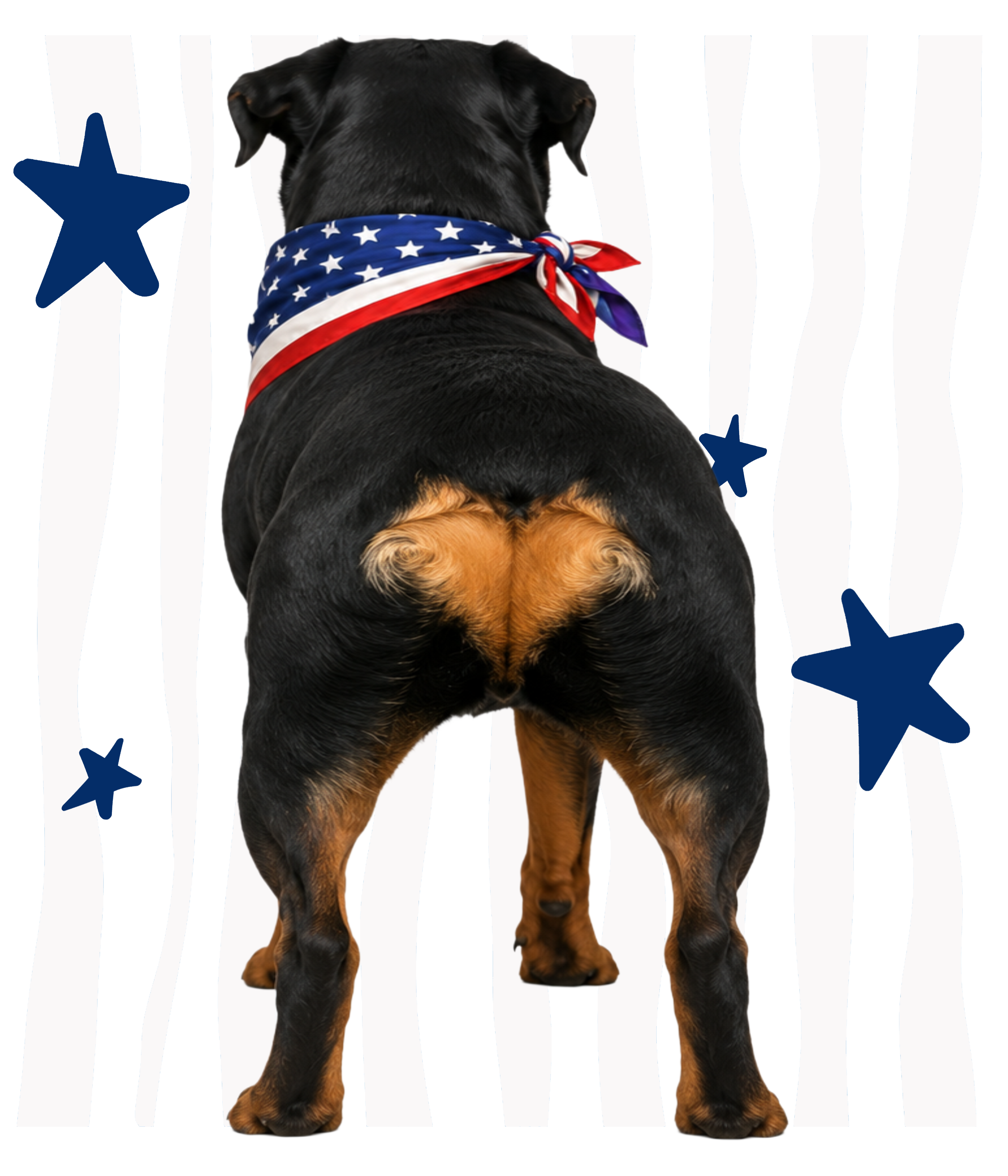 Randomness 1459 - Rott Butt Usa