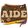 Randomness 32 - Aide Bugs