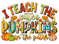 Teacher 379 - Iteachthecutespumpkinsinthepatch