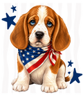 Randomness 305 - Beagle Usa Front