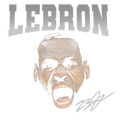 Randomness 974 - Lebronhalf2
