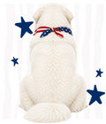Randomness 793 - Great Pyrenees Back