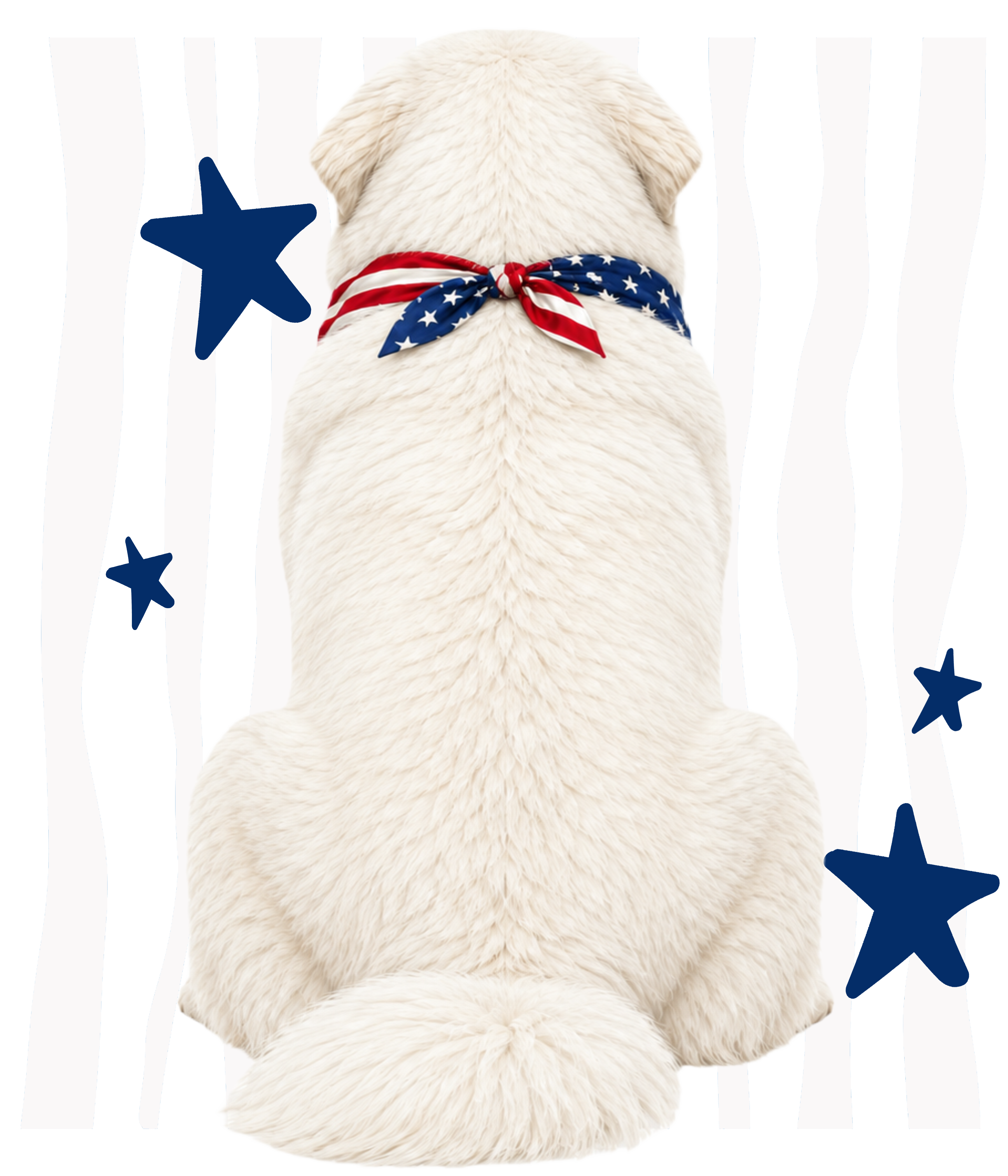 Randomness 793 - Great Pyrenees Back