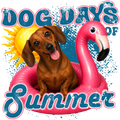 Randomness 565 - Dog Days Summer Dachshund Red
