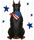 Randomness 553 - Doberman Back Usa