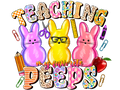 Teacher 762 - Teachingmyfavoritepeeps 3
