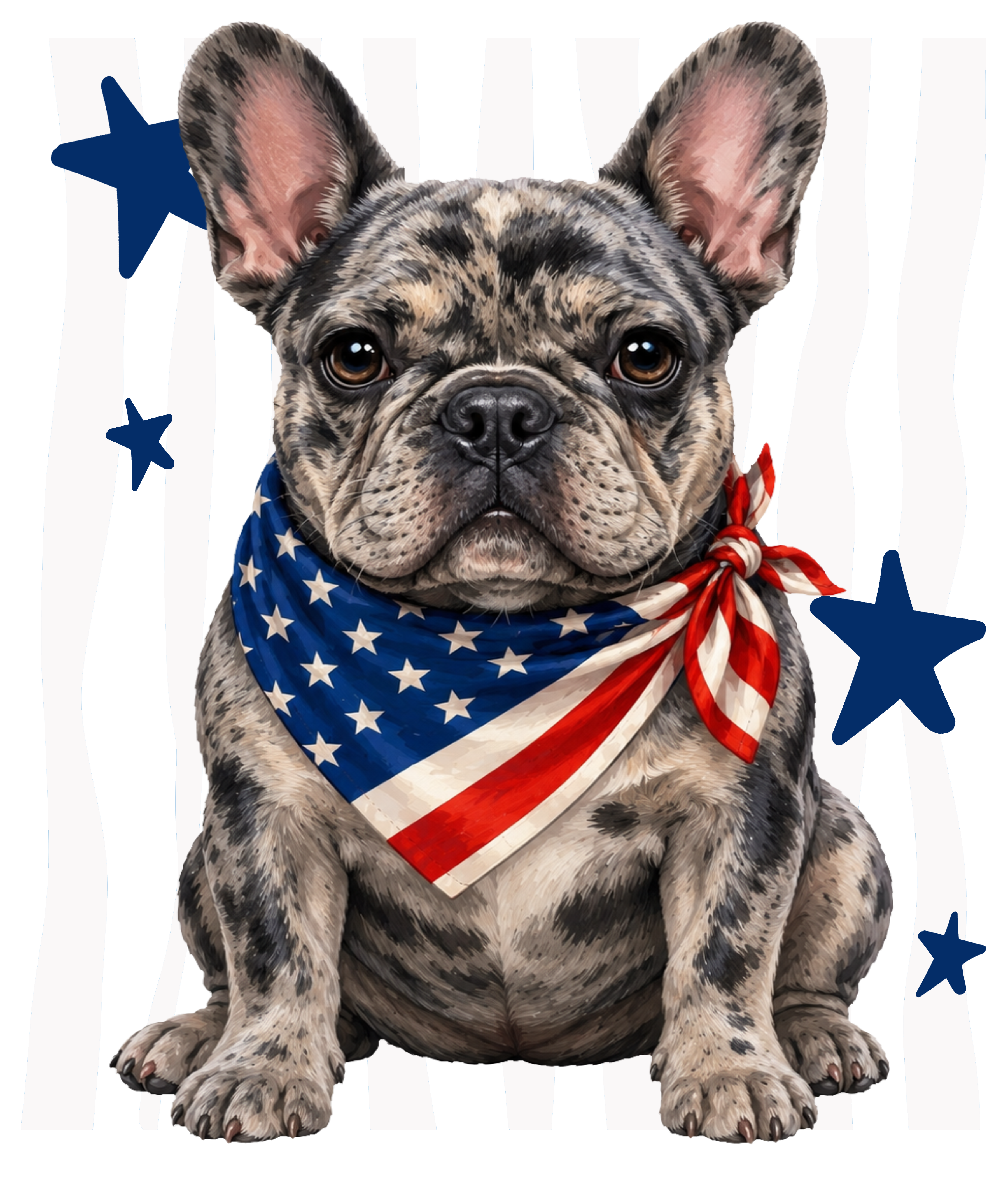 Randomness 675 - Frenchie Front Usa