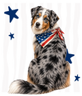 Randomness 100 - Australian Back