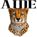 Randomness 39 - Aidecheetah