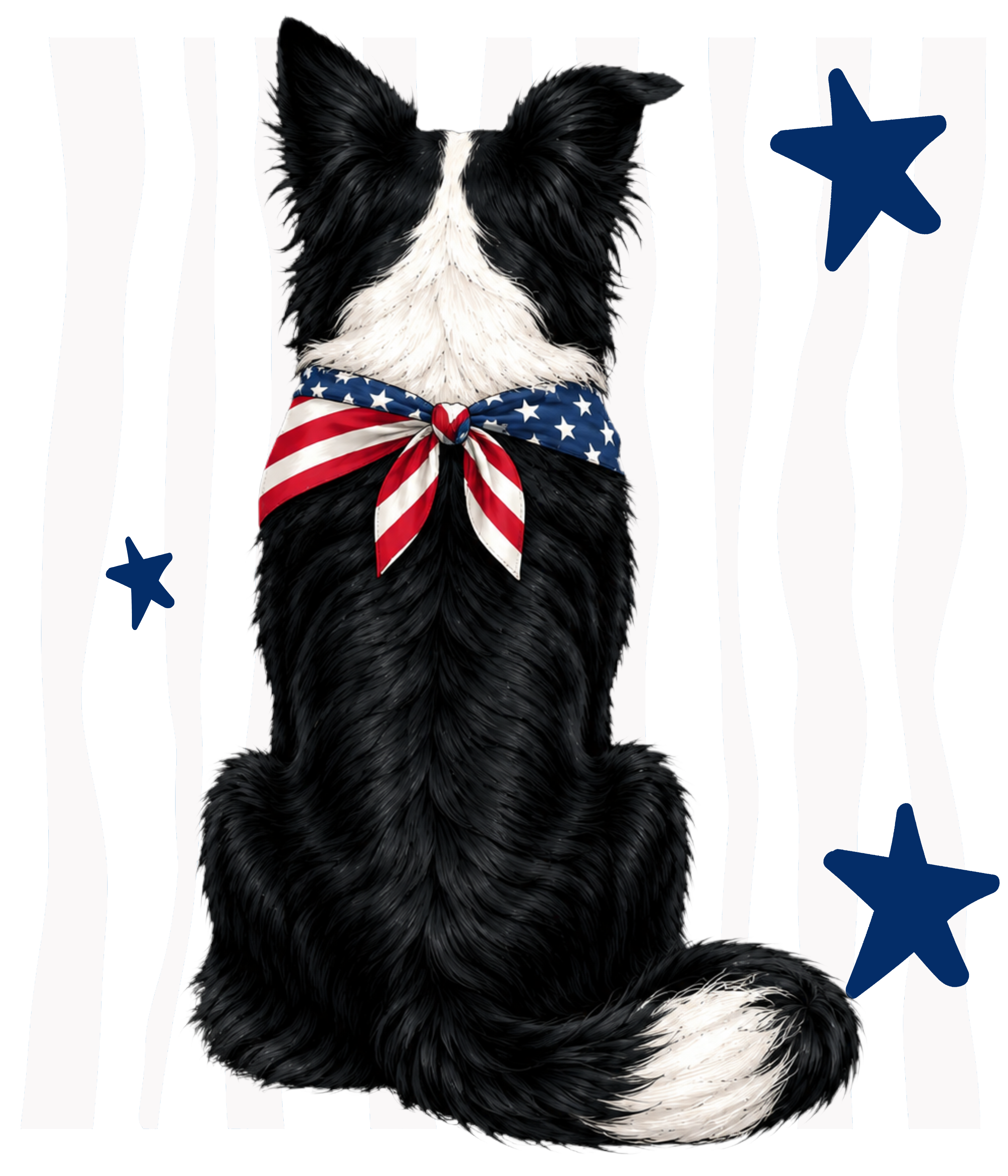 Randomness 370 - Border Collie Usa Back