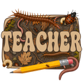 Randomness 1617 - Teacher Bugs